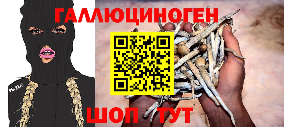 Азов  Галлюциногенные грибы Psilocybe  Вход с VPN 